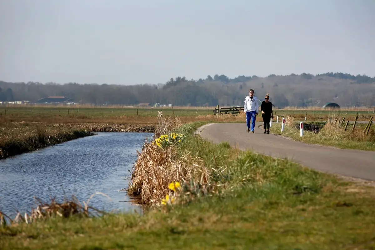 Fietspad door het platteland achter de duinen