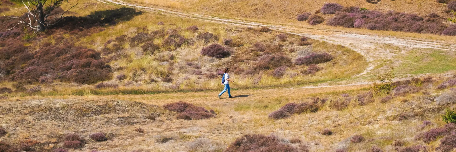 wandelaar door de duinen in bergen