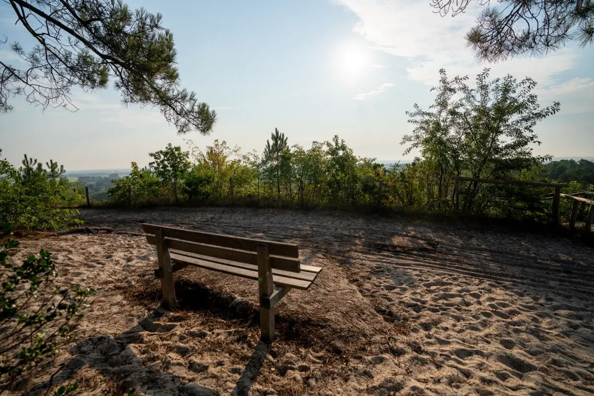 Bankje bij een onverharde weg bij de duinen