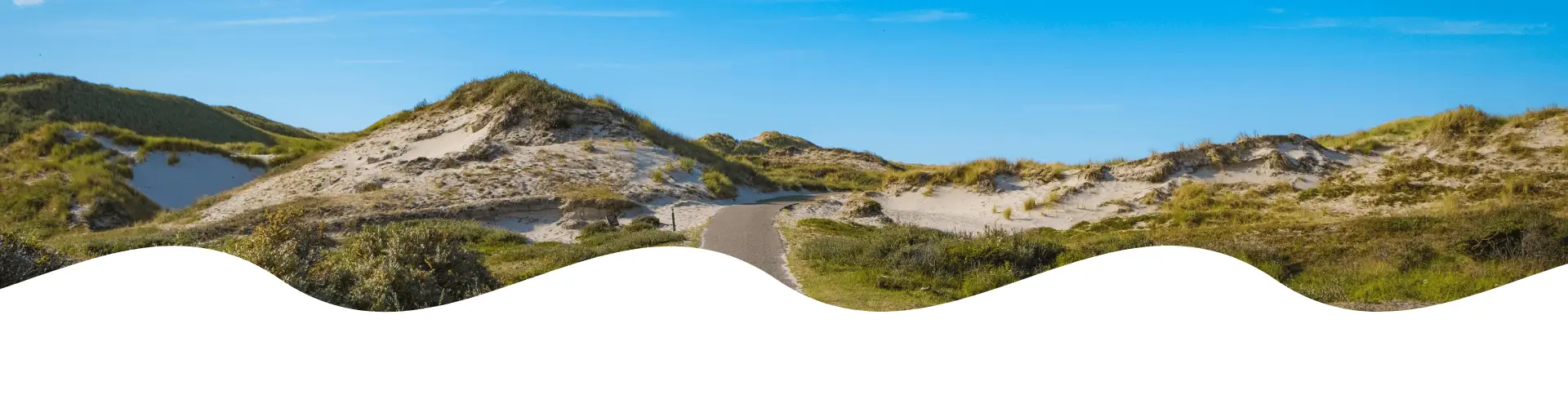 Pad dat door een groen duinlandschap slingert, met zandduinen, helmgras en een heldere blauwe lucht.