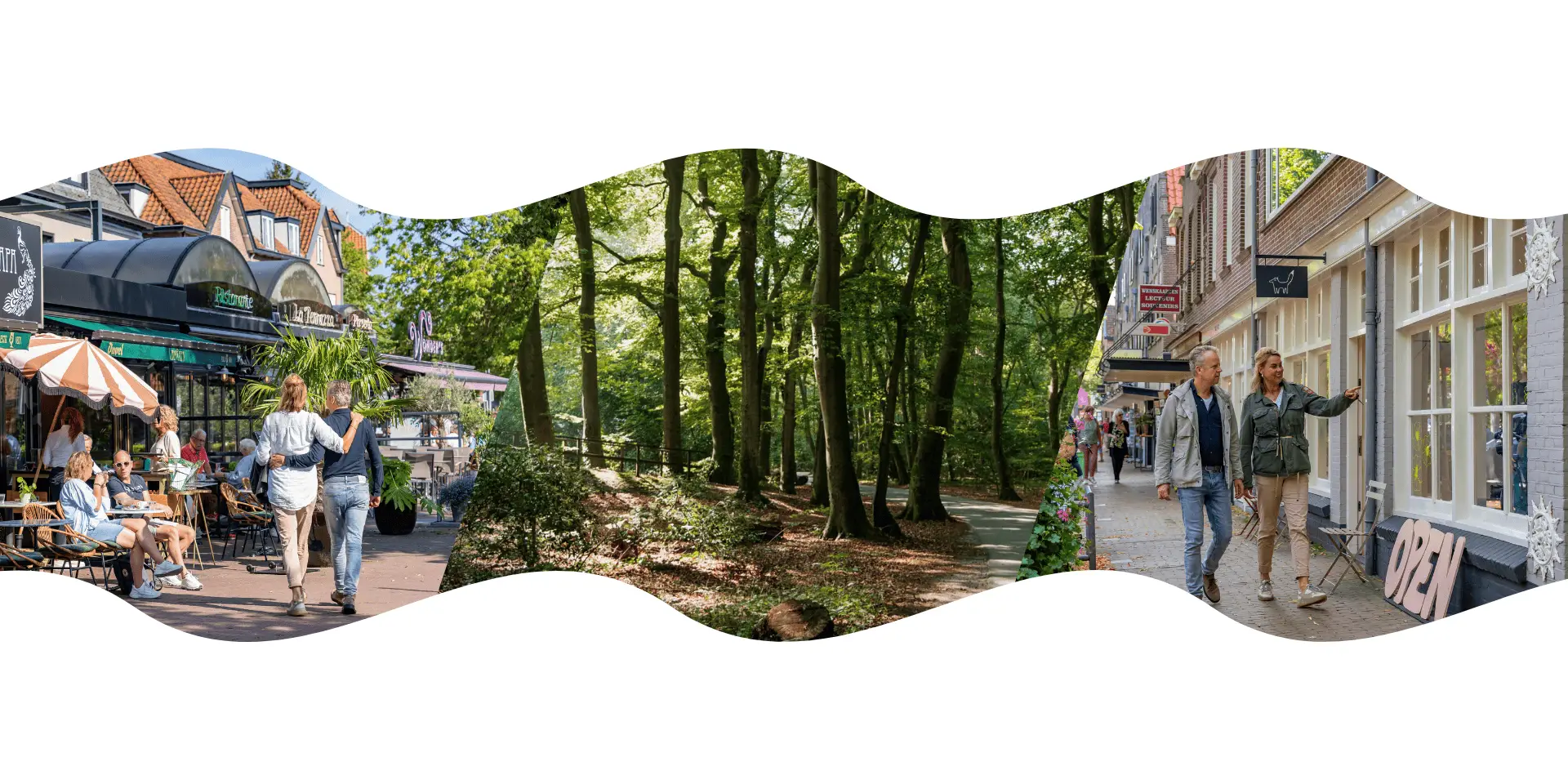 Een kronkelend, geasfalteerd pad door een groen bos met hoge, slanke bomen. Het zonlicht filtert door de bladeren. Links van het pad loopt een houten hek langs een lichte helling, omringd door struiken en bladeren.