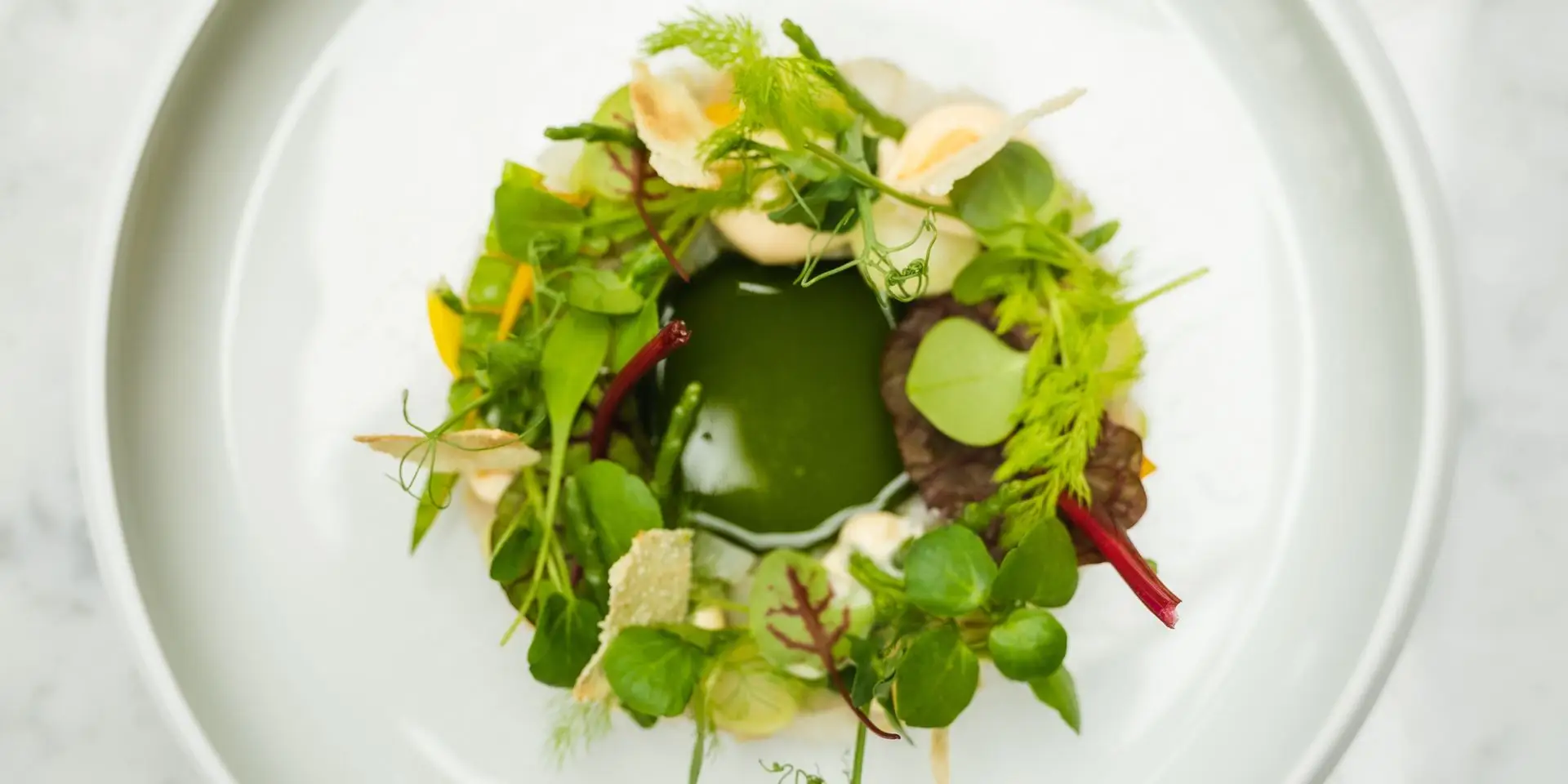 Vlees met groente gerecht op wit bord