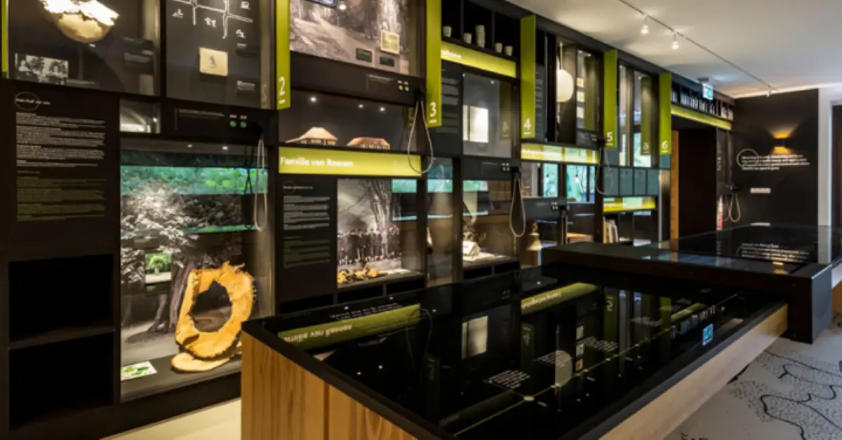 Museumkamer in Blooming met interactieve tentoonstellingen en glazen vitrines. Informatieborden en objecten met groene accenten presenteren historische en archeologische vondsten. De ruimte is verlicht met sfeervolle spotlights.