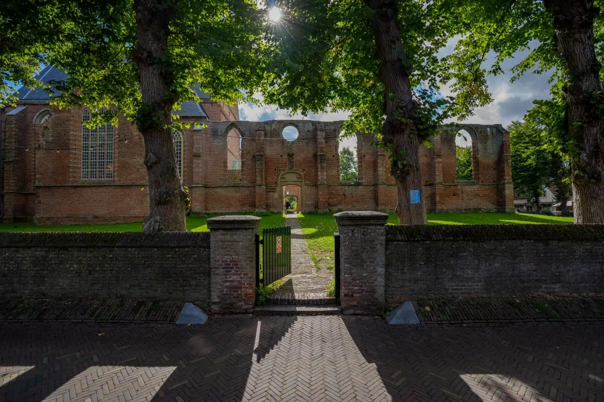 De ingang van de Ruïnekerk met de overgebleven muren met de bomen en zon dat door de bomen schijnt