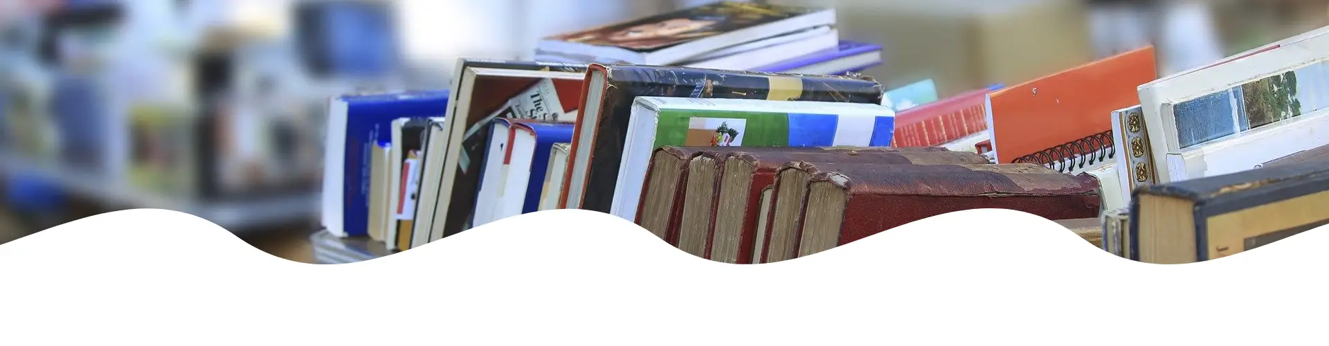 Een kronkelend, geasfalteerd pad door een groen bos met hoge, slanke bomen. Het zonlicht filtert door de bladeren. Links van het pad loopt een houten hek langs een lichte helling, omringd door struiken en bladeren.