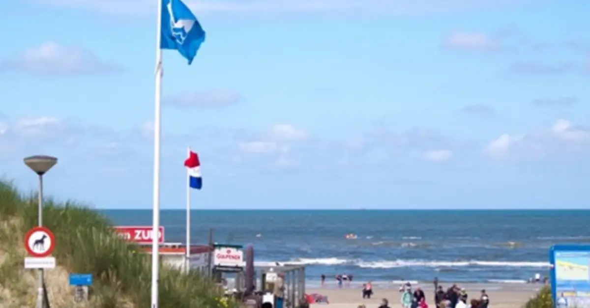 Uitzicht op het strand van Bergen aan Zee