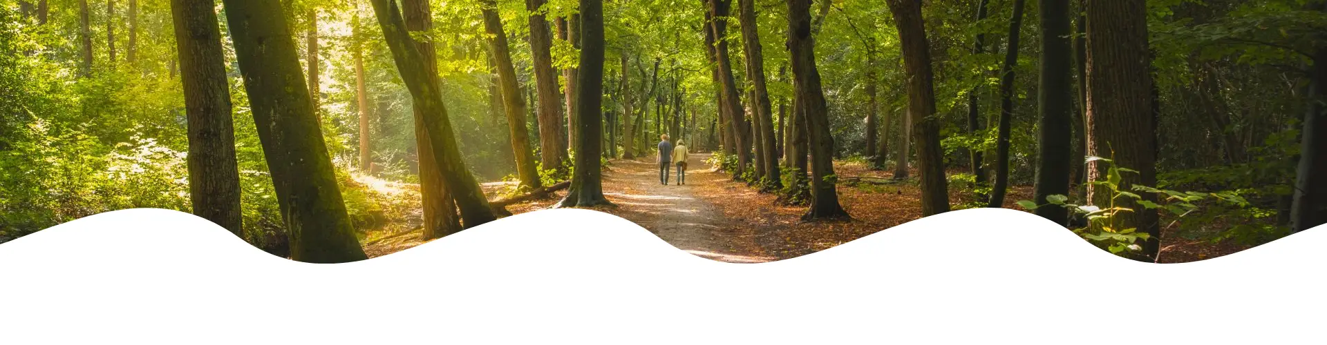 Een rustig bospad omgeven door hoge, groene bomen met zonlicht dat door het bladerdak schijnt. Twee mensen wandelen samen over het met bladeren bedekte pad in een serene, natuurlijke omgeving.