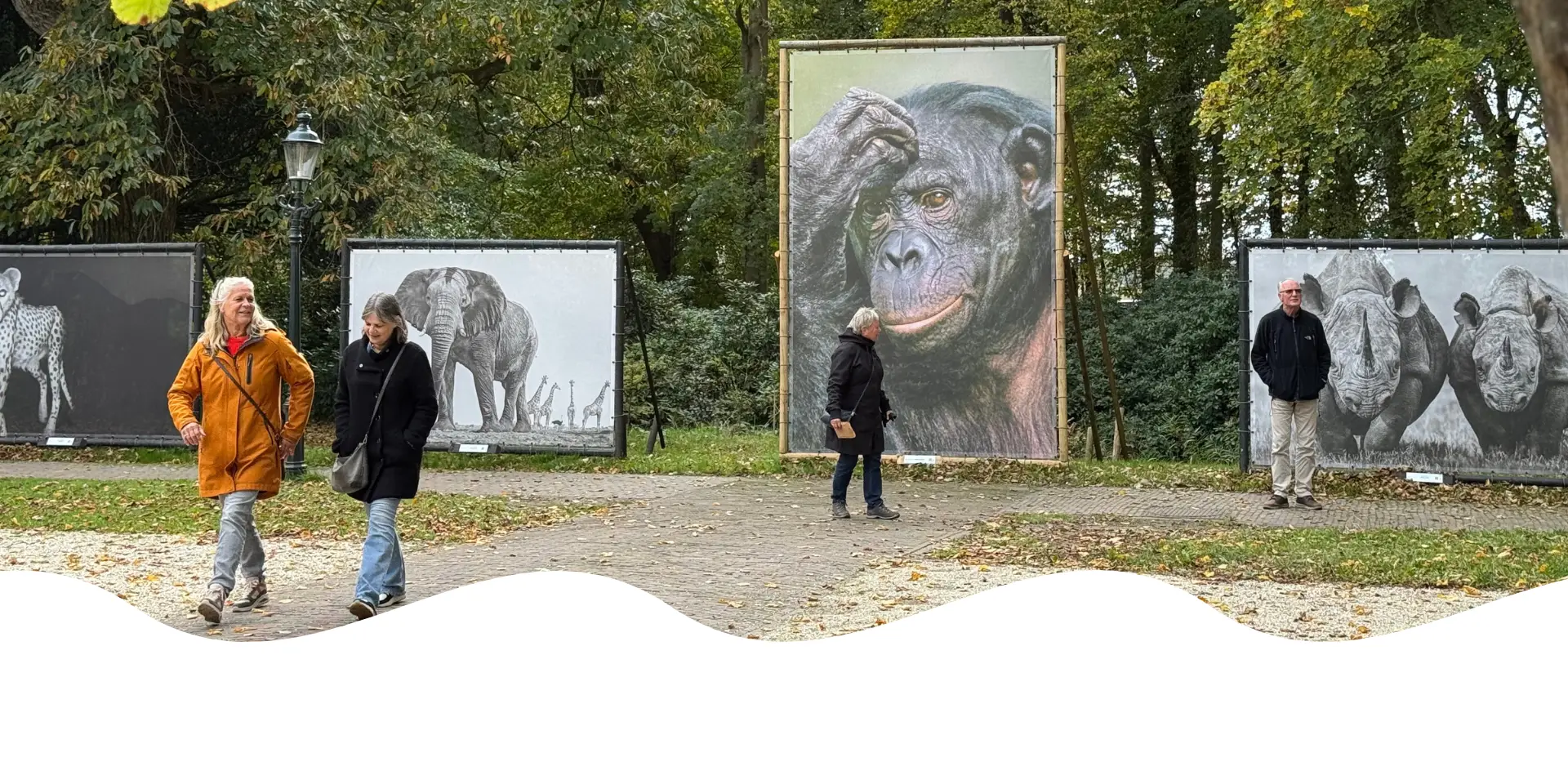 Schilderij van Cees Noort tentoongesteld in het Het Hof in Bergen