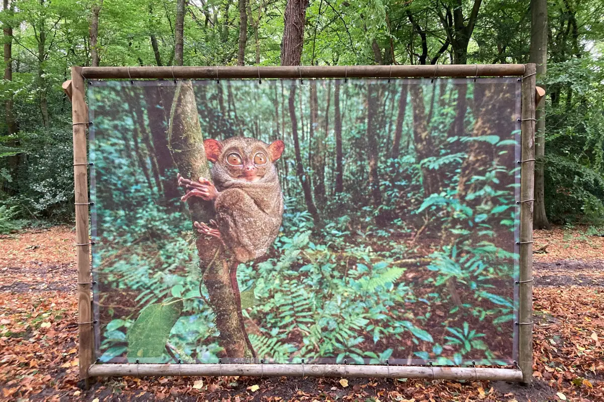 Foto die word laten zien bij de fototentoonstelling van Frans Lanting