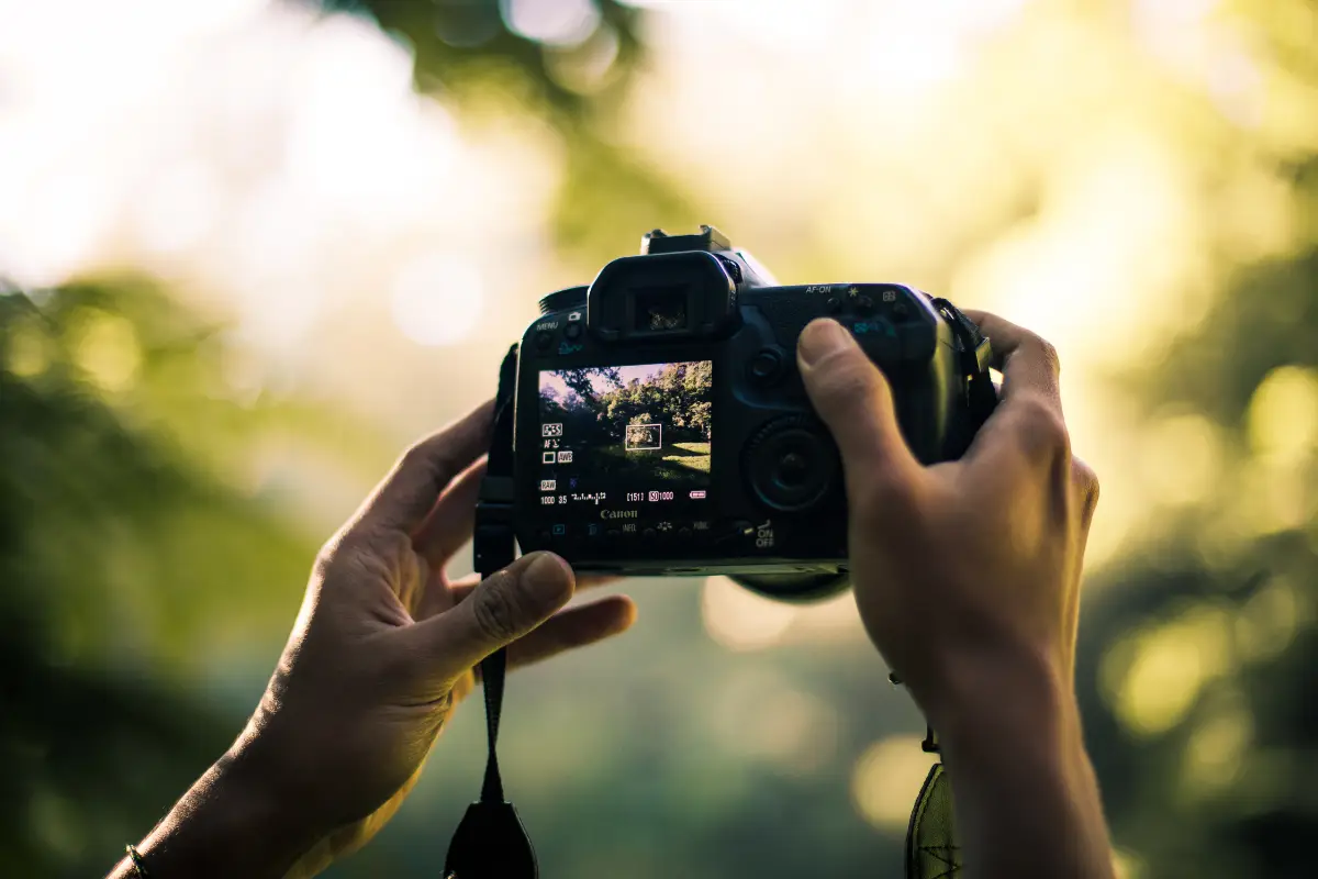 Camera die een foto maakt in de natuur