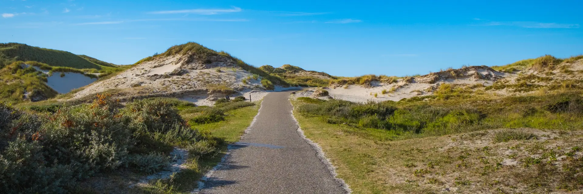 De duinen van Bergen aan Zee met een lopend pad