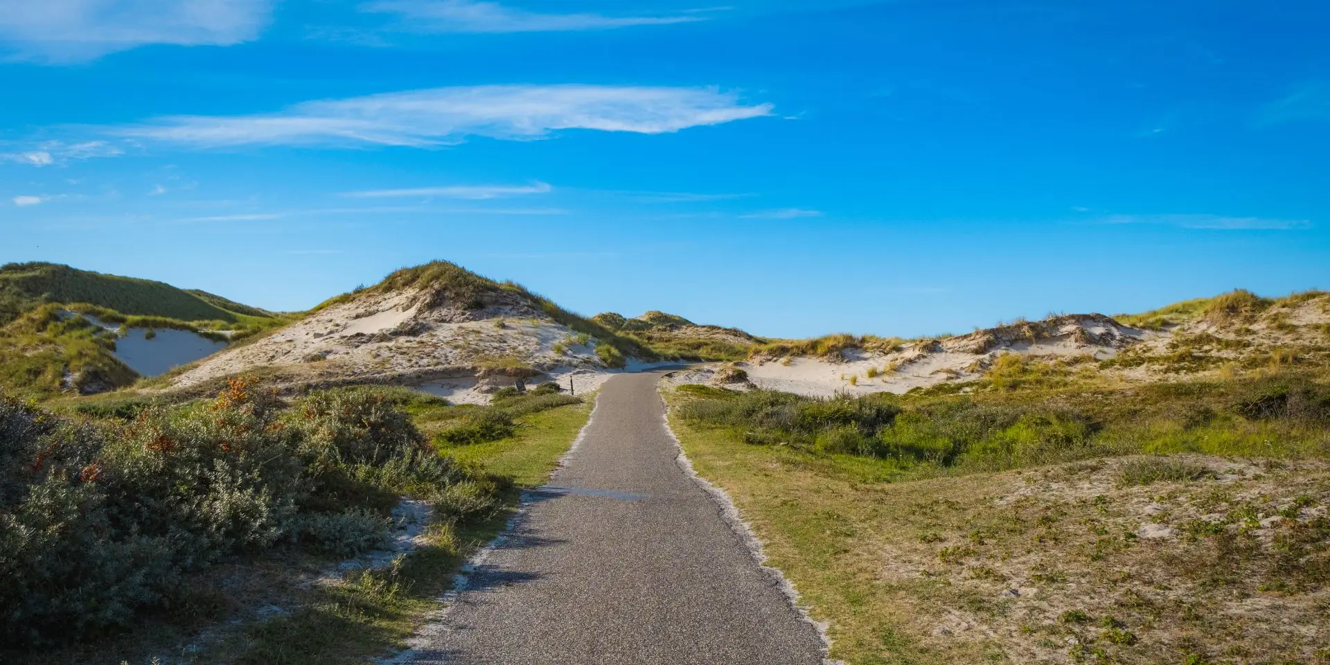 fietspad door de duinen