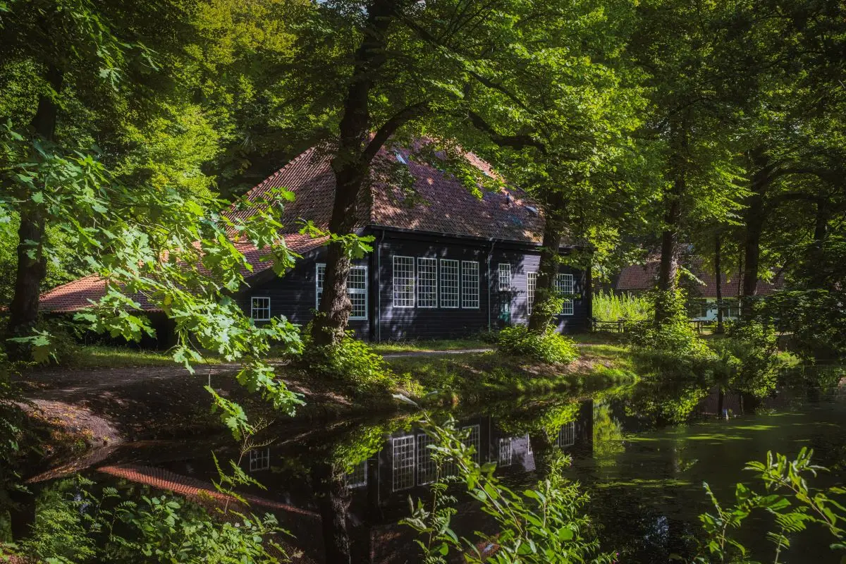 Filmtheater Cinebergen aan de rand van het bos, weerspiegelend in het water