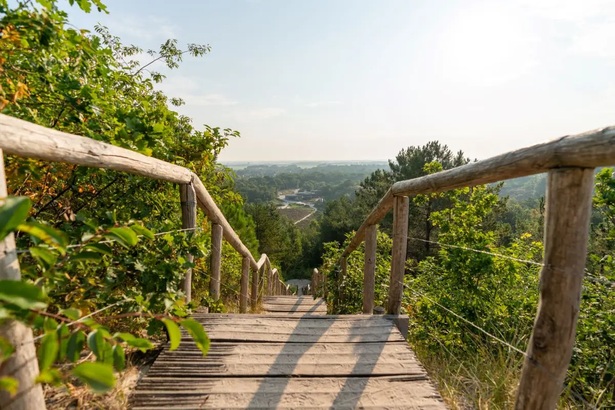 De trappen bij het hoogste duin in de Schoorlse Duinen, met uitzicht op het buitencentrum