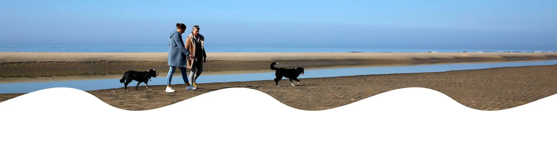 Mit dem Hund am Strand spazieren gehen