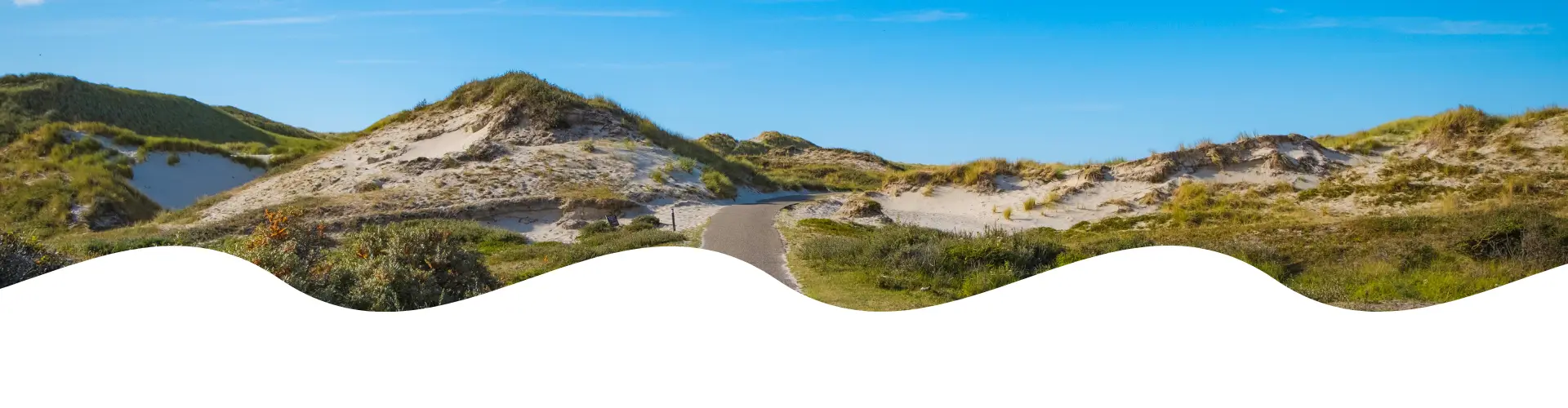 Radweg durch die Dünen