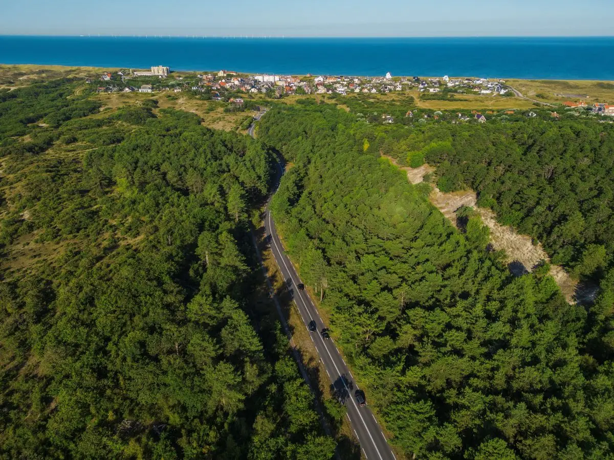 Een kronkelende weg snijdt door een dicht bebost duinlandschap richting een kustplaats, met de blauwe zee en een rij huizen op de achtergrond