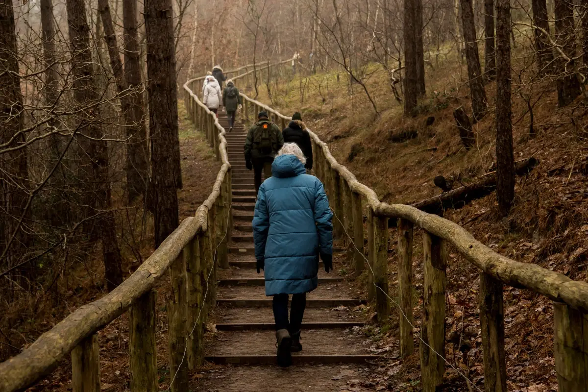 Wandelaars in winterkleding lopen een houten trap op door een bosrijk duingebied, omgeven door kale bomen en een zacht glooiend landschap.