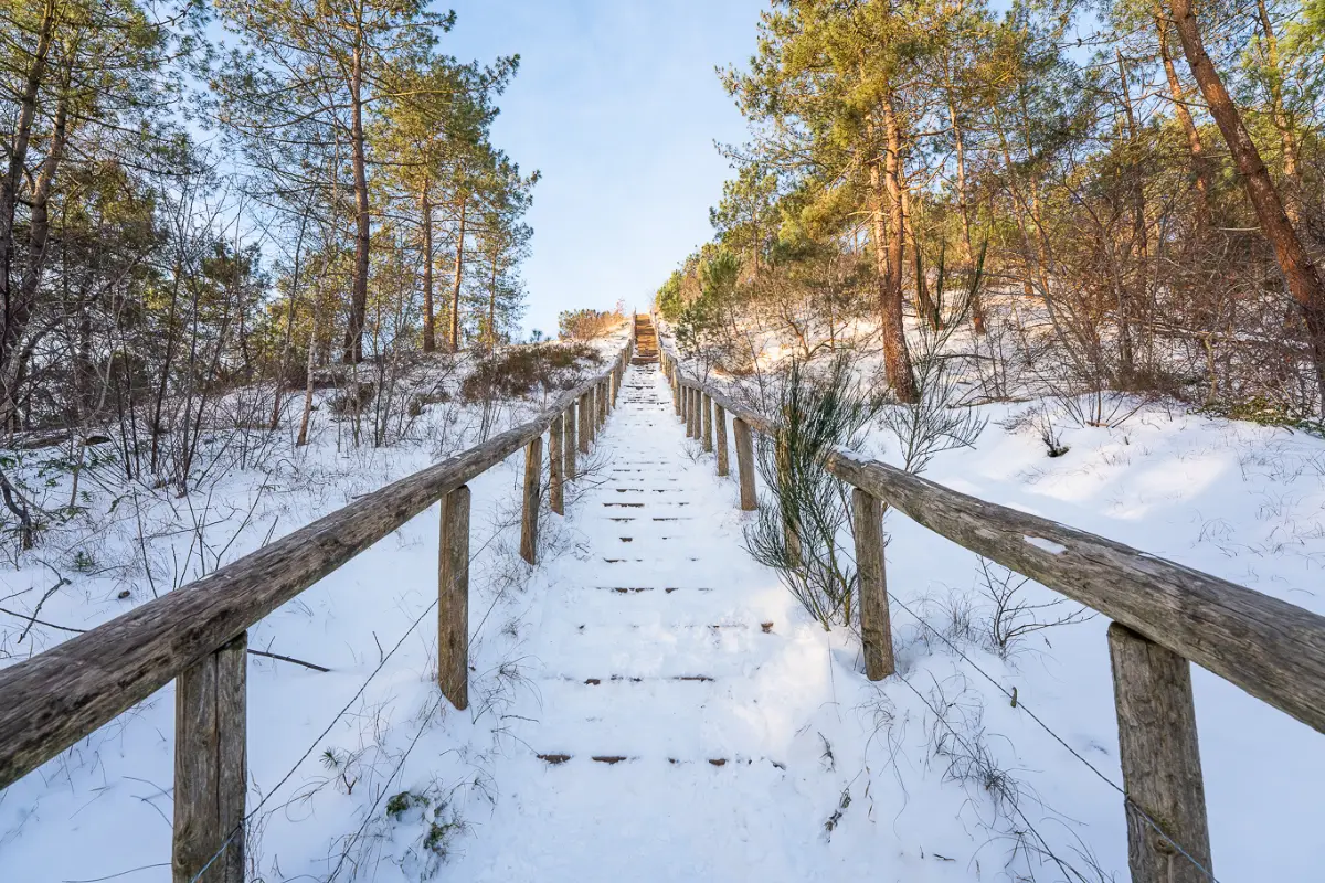 Besneeuwde trap in Schoorl