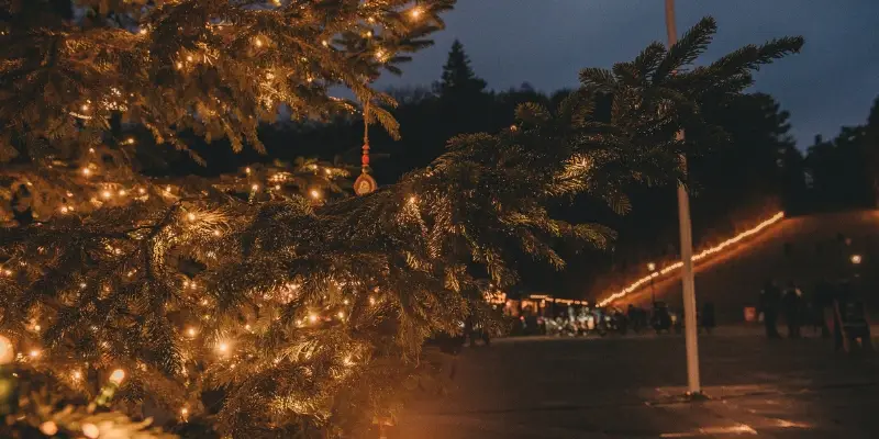 Vier kerst in Duindorp Schoorl