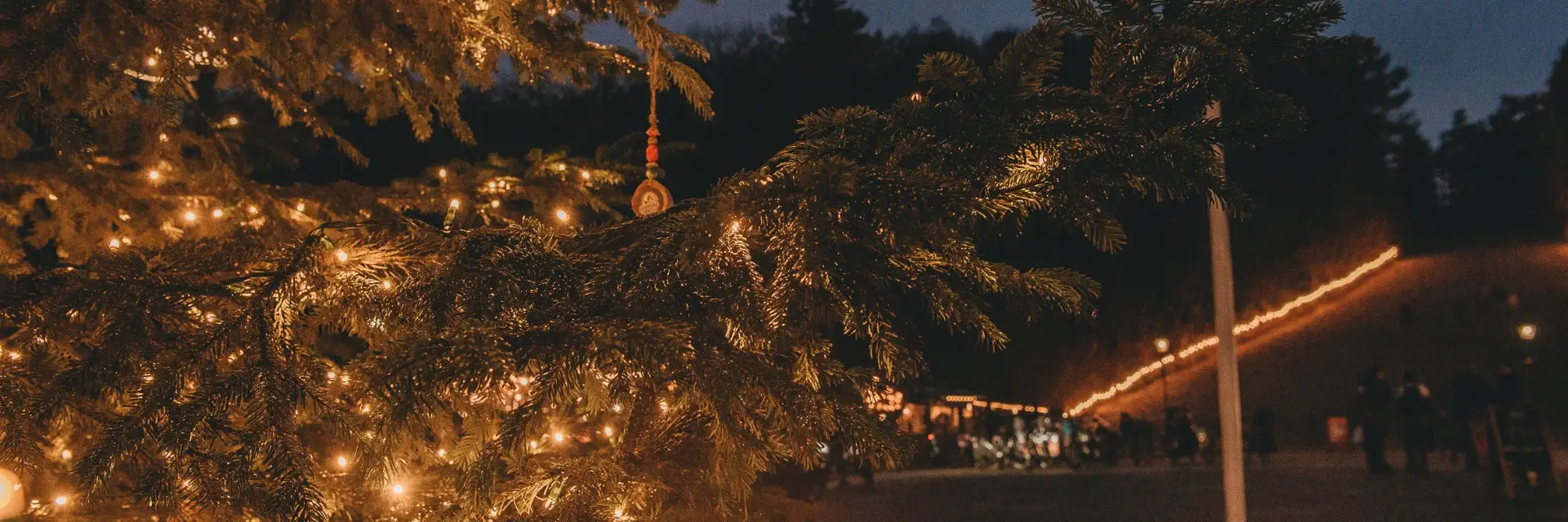 Verlichte kerstboom in winterse omgeving met gezellig plein op de achtergrond.