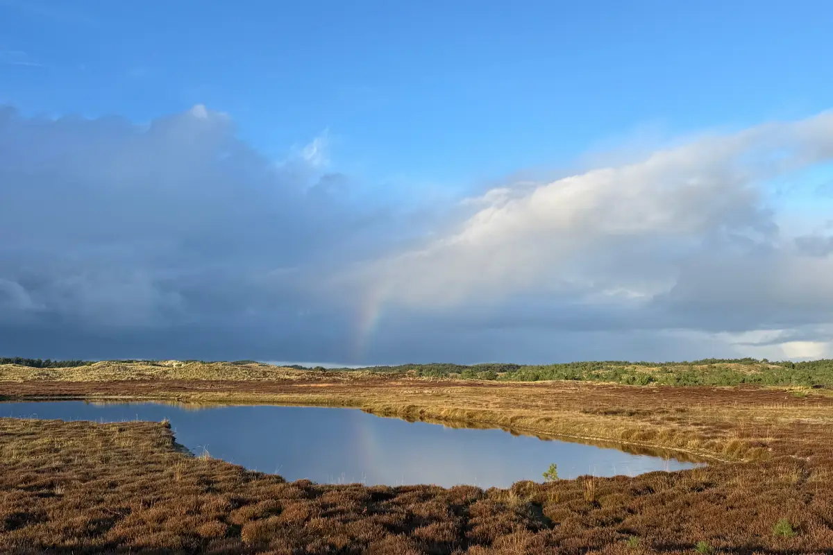 een meer op de weide en op de achtergrond een regenboog