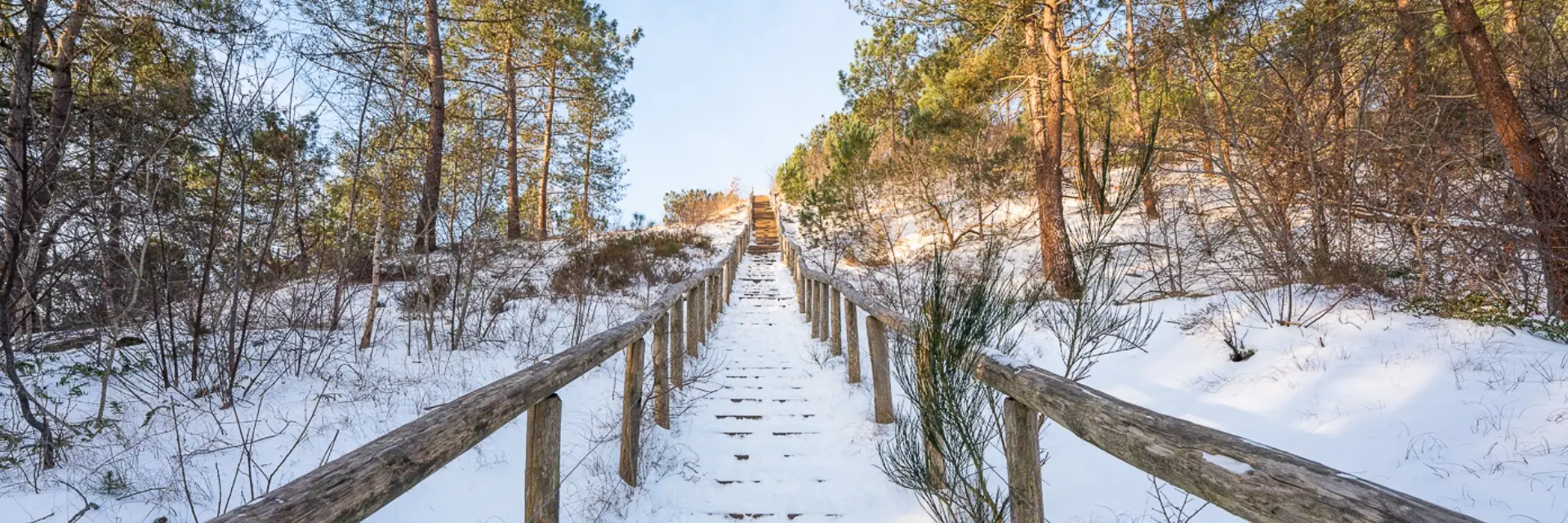 trap op de Schoorlse duinen onder gesneeuwd