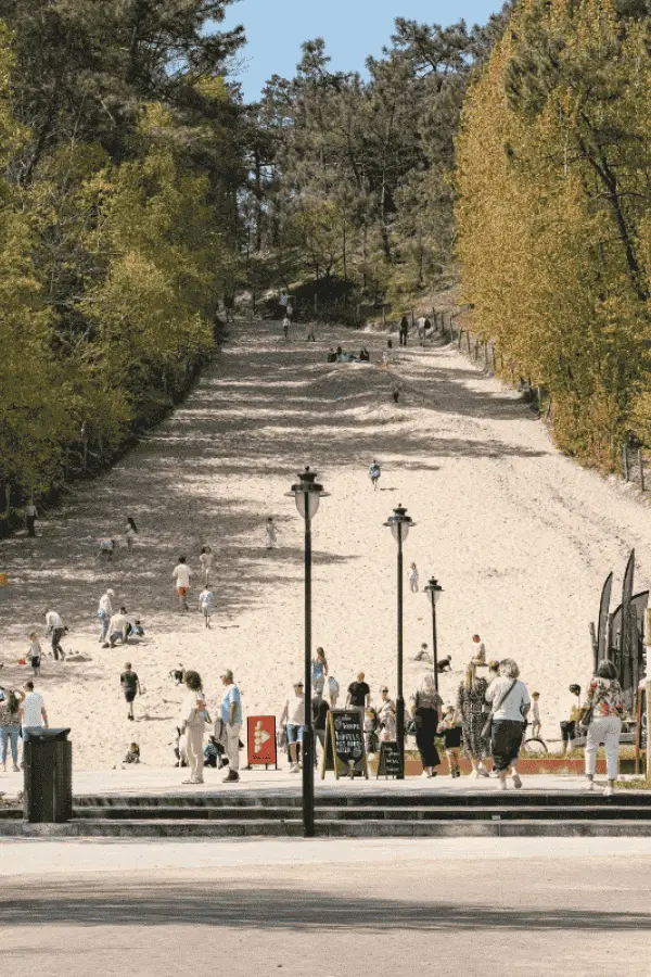 Klimduin op afstand → Het beroemde Klimduin van Schoorl, gezien vanaf een afstand.