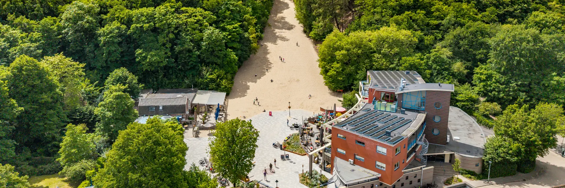 Uitzicht vanaf een duintop in Schoorl op een plein met terras en bezoekers, omringd door groene bomen en huizen. Een zandpad tussen de bomen leidt vanaf de duinen naar het dorpscentrum