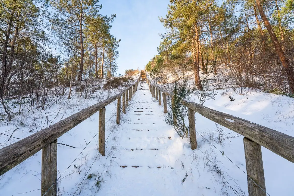 Trap op de duinen besneeuwd