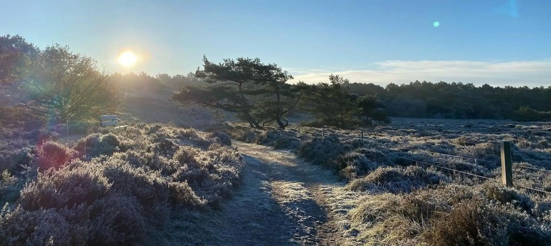 Wiese mit Bank unter einem Baum