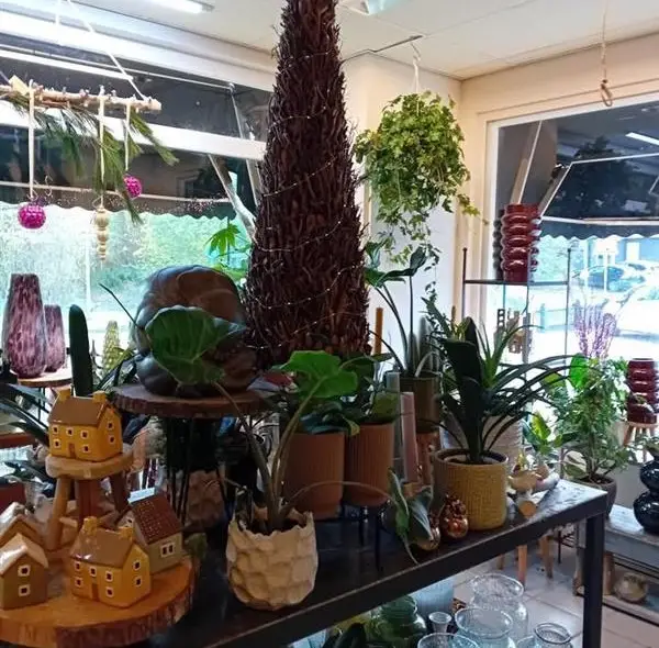 Kerstshoppen in Duindorp Schoorl