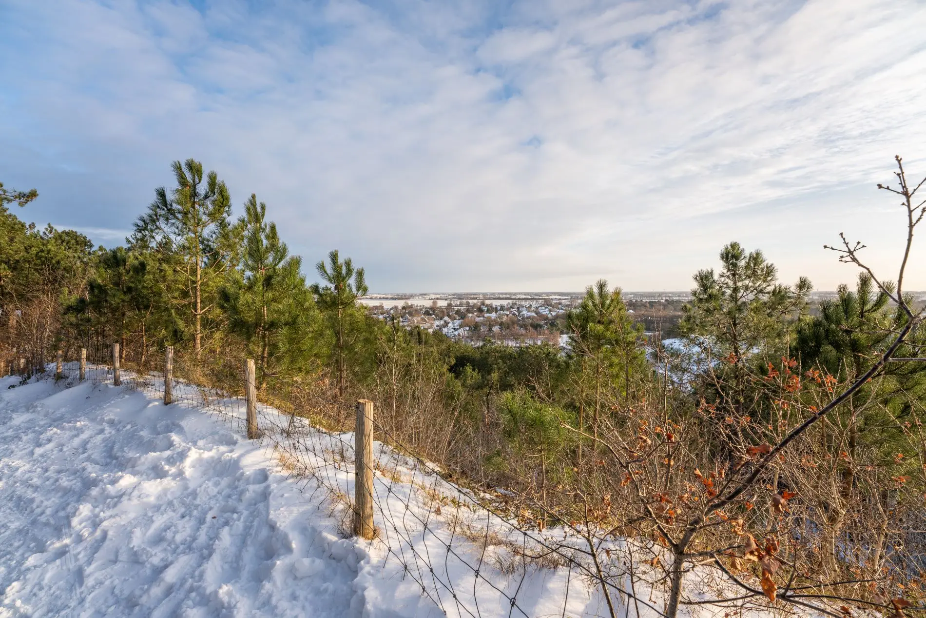 der Wald von Schoorl mit Bank und Holzzaun