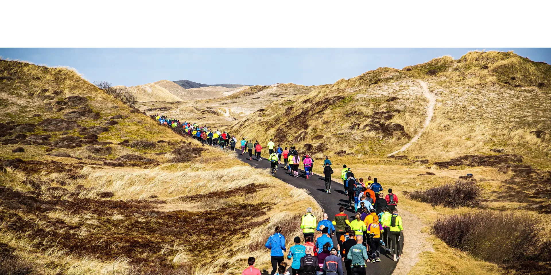 der Wald von Schoorl mit Bank und Holzzaun