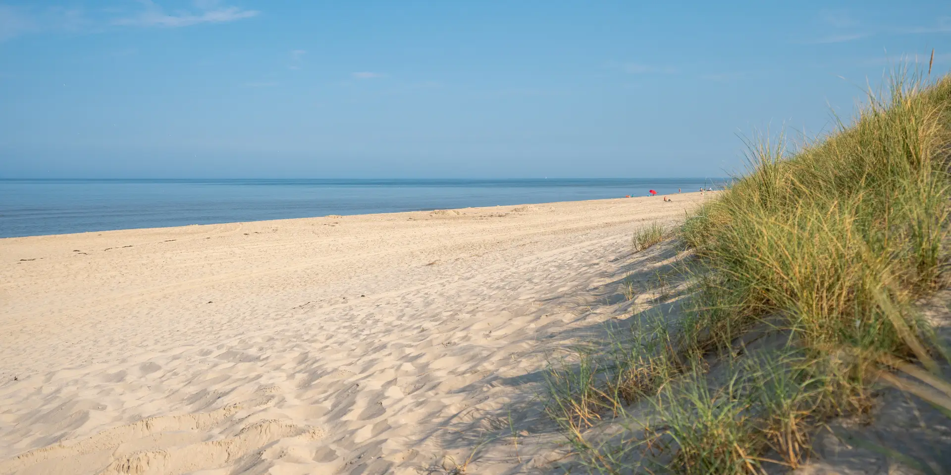 Het strand van Hargen aan Zee met zee, zand en duingras