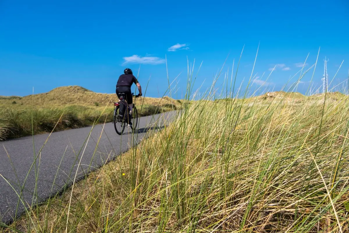 Een fietsende man over het betonnen fietspad door de Schoorlse Duinen op een zomerse dag met blauwe lucht