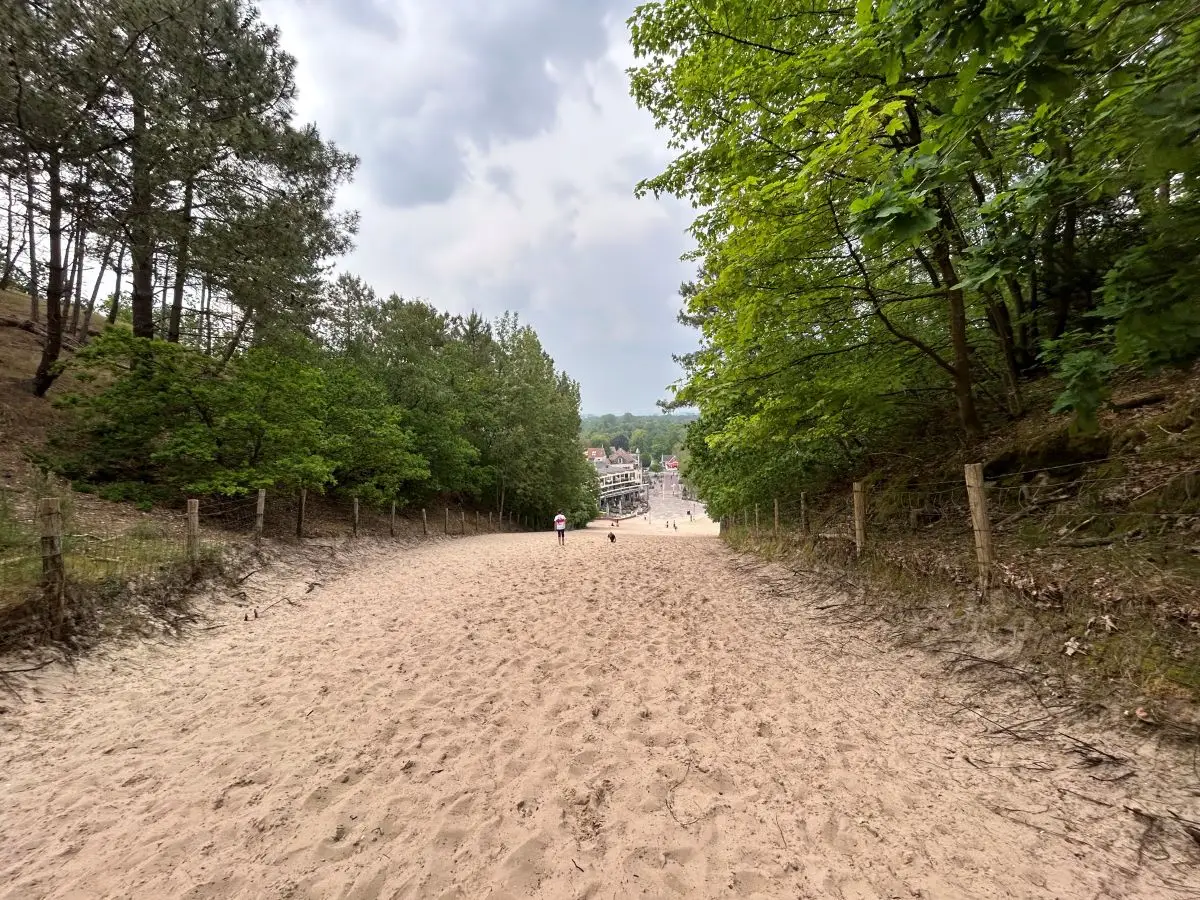 Klimduin van Schoorl bovenaanzicht