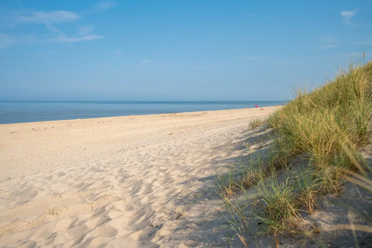 strand met duinen