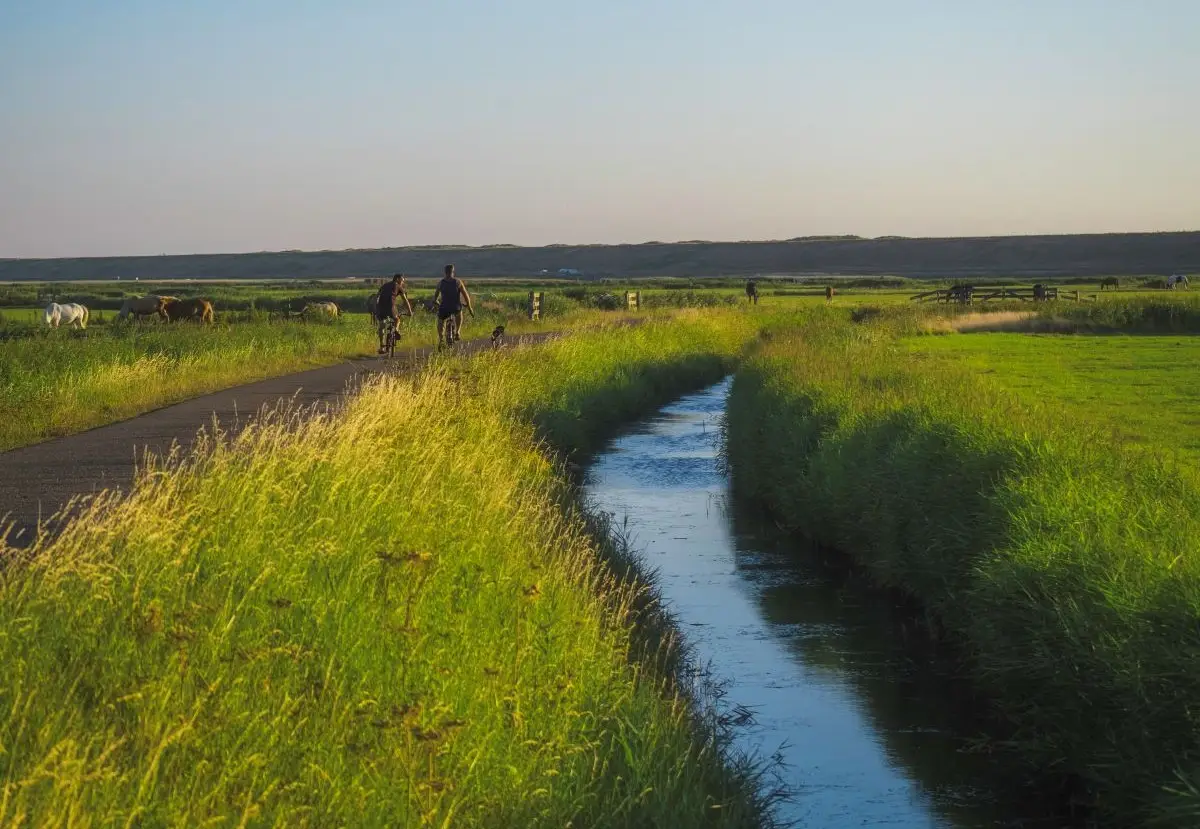 mensen fietsen in de polder