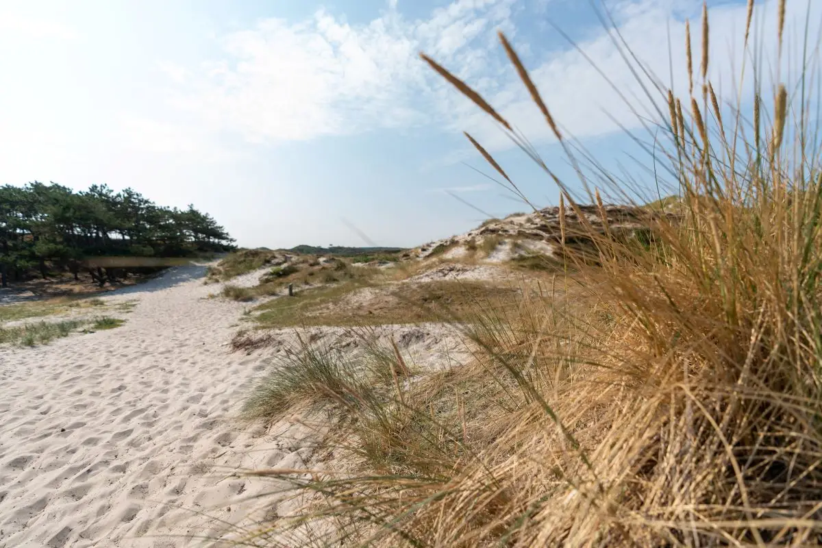 duinen