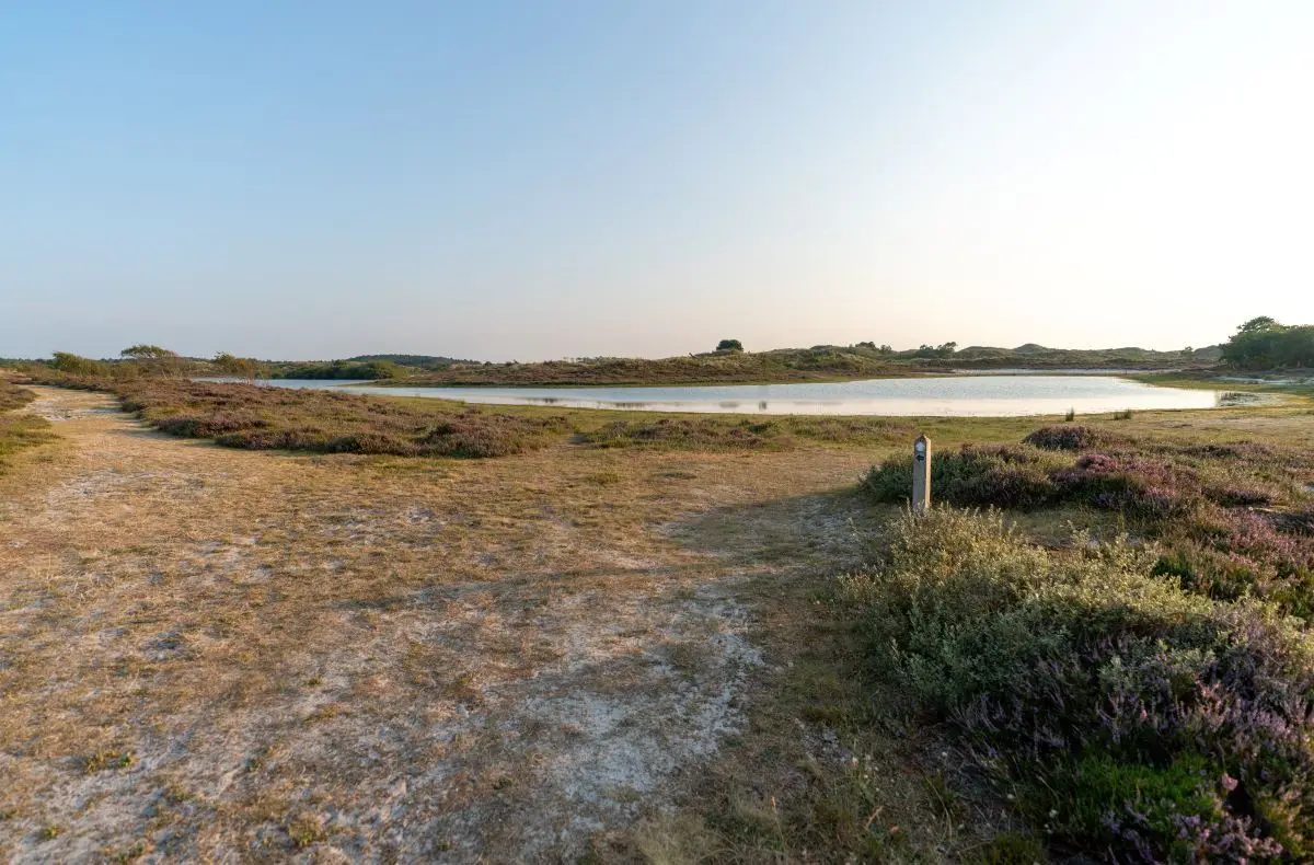 het vogelmeer in Schoorl