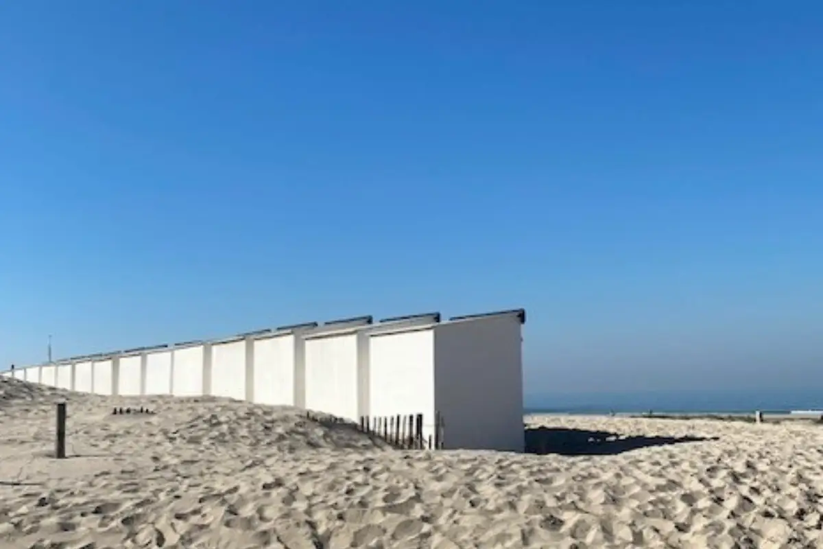 Nazomer in Duindorp Schoorl