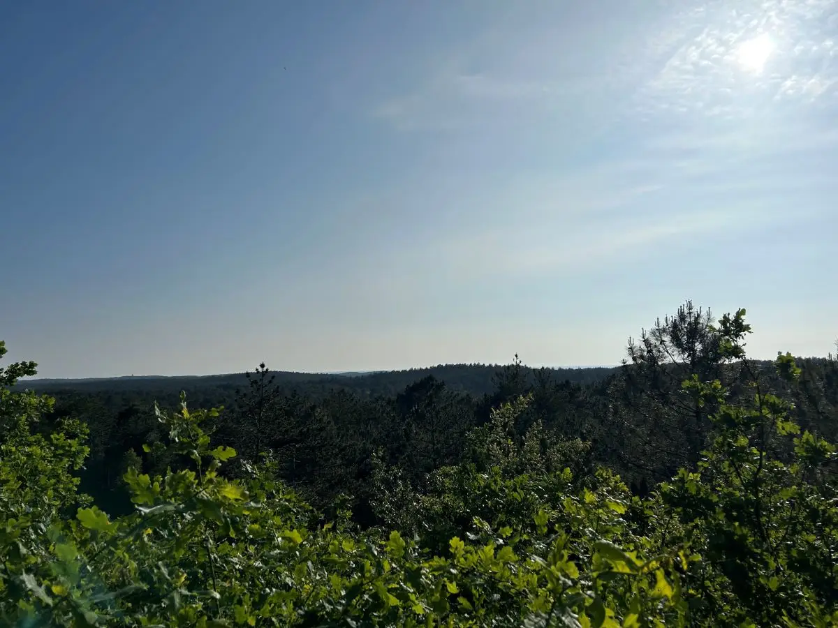 uitzichtpunt in de duinen