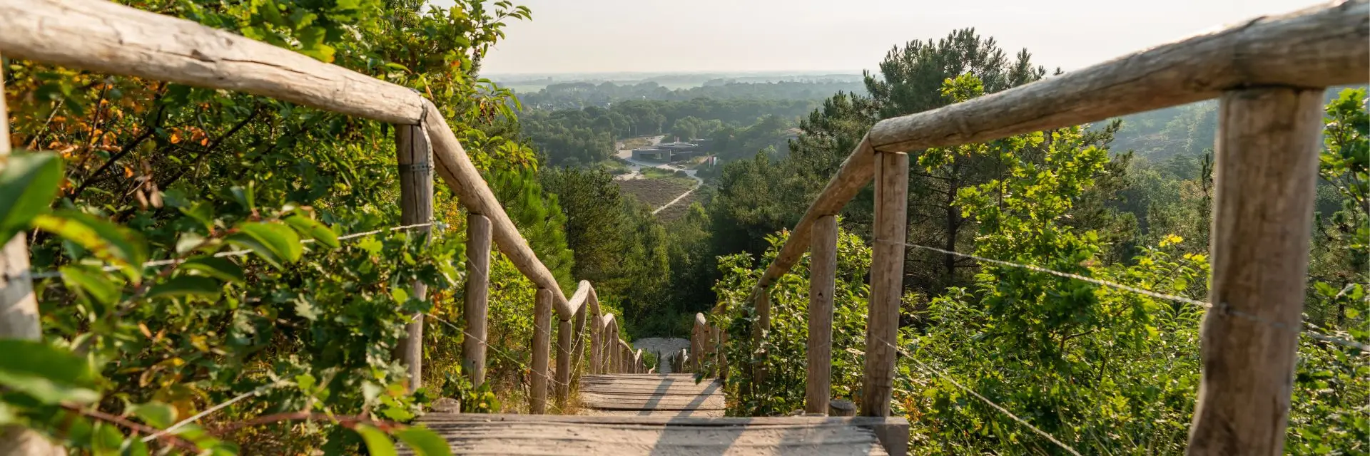 Houten trap met leuningen leidt omlaag door het groene duinlandschap van Schoorl. In de verte ligt het bezoekerscentrum tussen heidevelden en bossen, met een panoramisch uitzicht over de omgeving