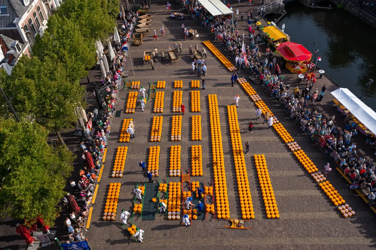 kaasmarkt vanaf boven in alkmaar