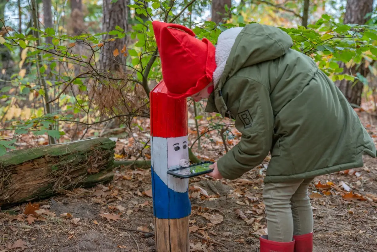 houten paal met kabouter gezicht in de Schoorlse duinen
