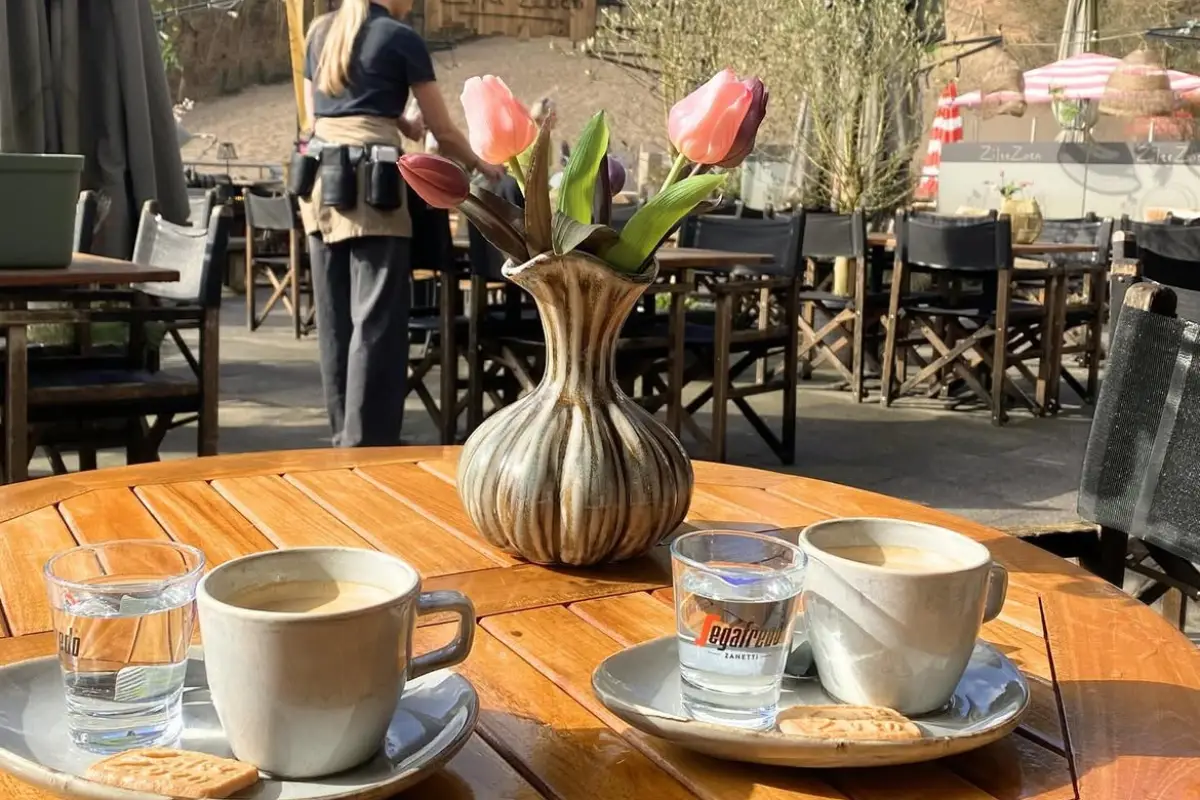 terras ZilteZoen