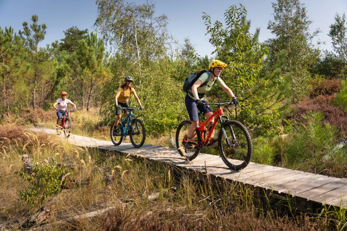 familie op mountainbikes