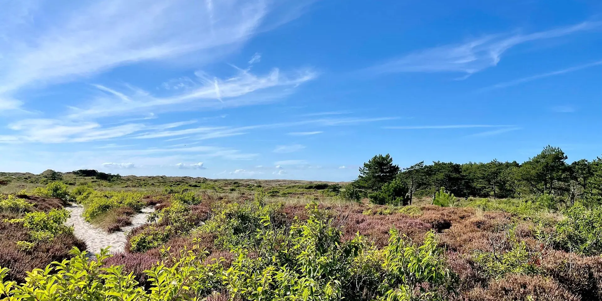 Duurzaam Schoorl