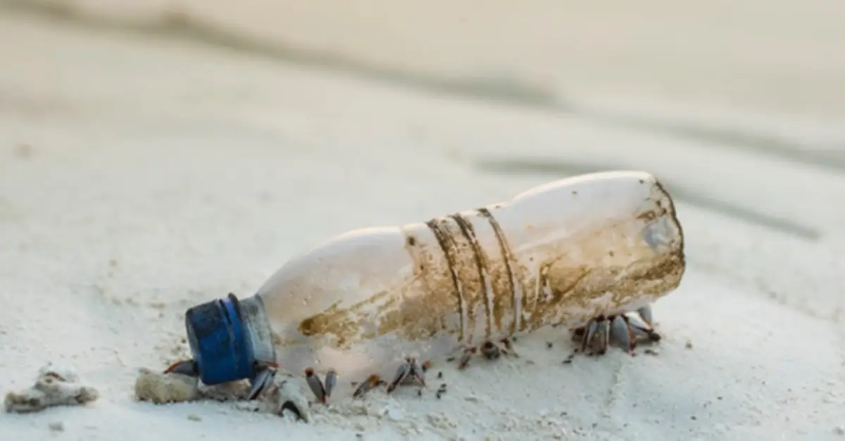 Plastic flesje op het strand